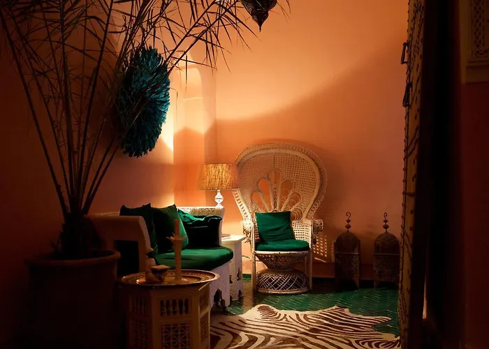 Bed and Breakfast The Bohemian Jungle Marrakesh